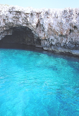 dalmatia16.jpg